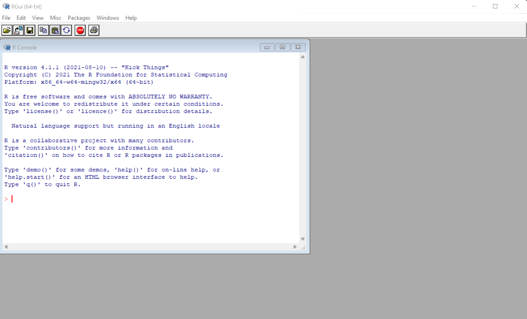 Image of R Program Window with the R Console on Windows OS